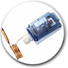 knopka_termostat.png